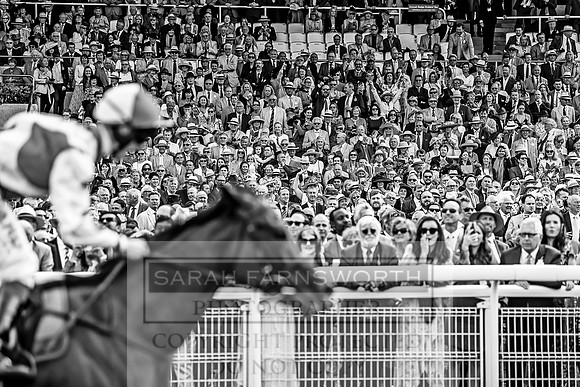 GUK Goodwood Sale 2019-99
