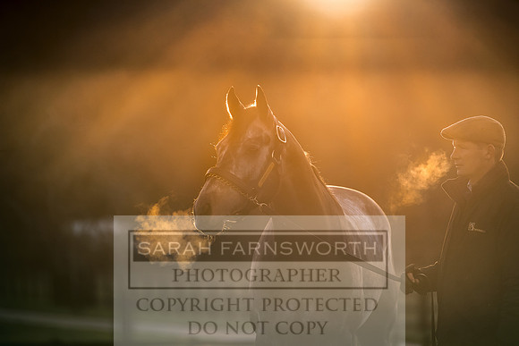 Tweenhills January 2019-91