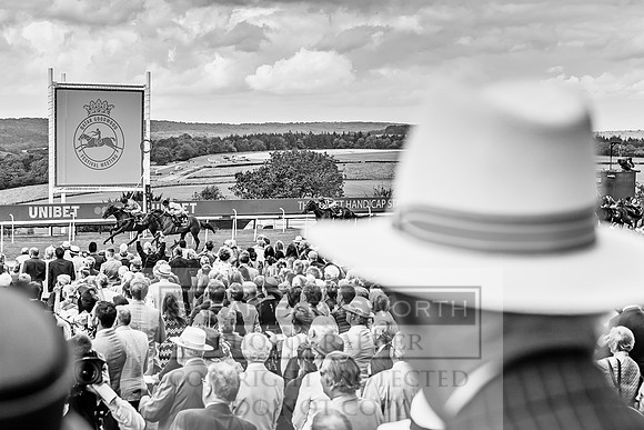 GUK Goodwood Sale 2019-58