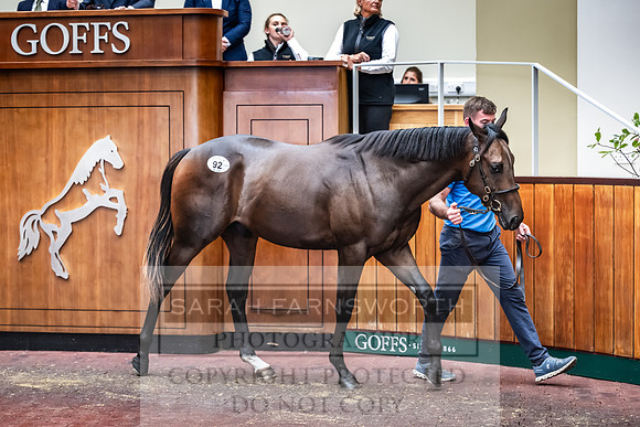 Goffs UK PY24-145