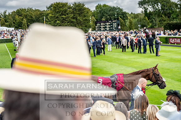 GUK Goodwood Sale 2019-136