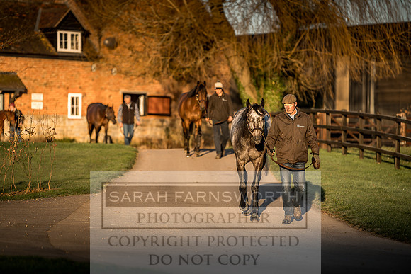 Tweenhills January 2019-102