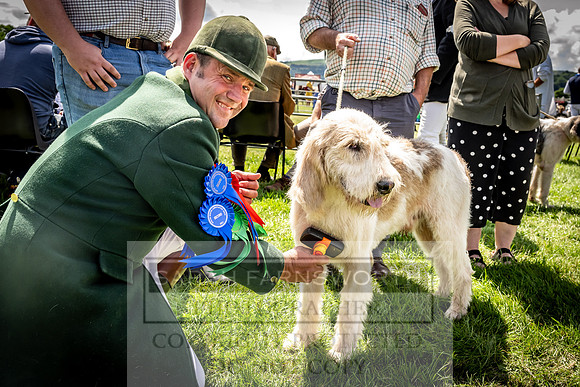 Builth Hound Show 2023-110