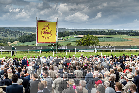 GUK Goodwood Sale 2019-54