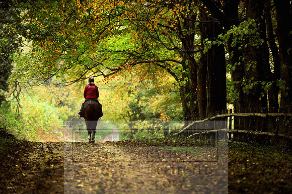 Autumn Snow 021
