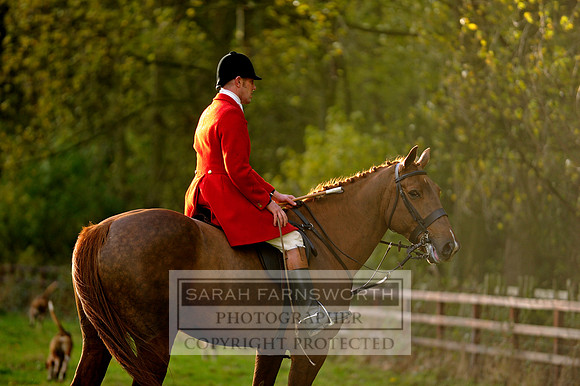 Brocklesby 021113 CF3 1295
