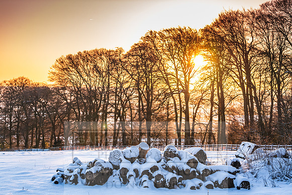 Snowy Cotswolds January 2021-16
