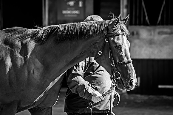 Goffs UK Breeze Up 2022-175