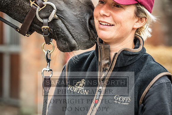 GUK Yorton Sale 2019-175