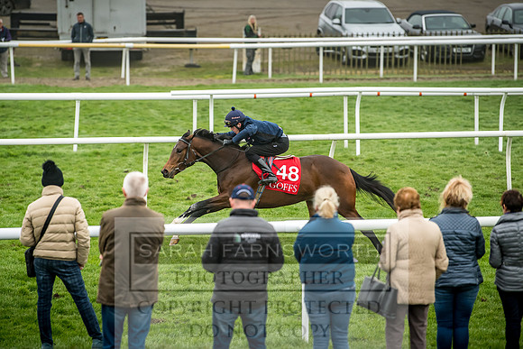 GUK Breeze Up 2018-131