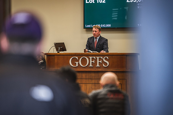 Goffs UK Breeze Up 2022-290