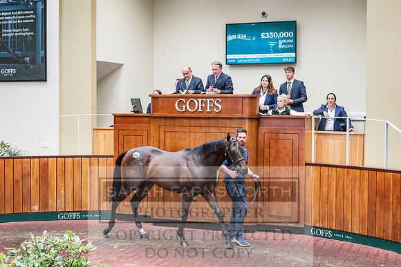 Goffs UK PY24-441