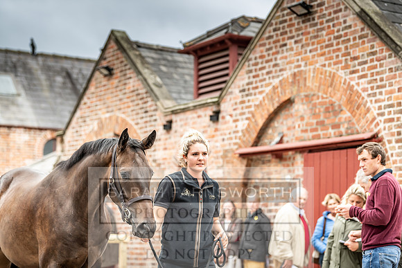 GUK Yorton Sale 2019-191