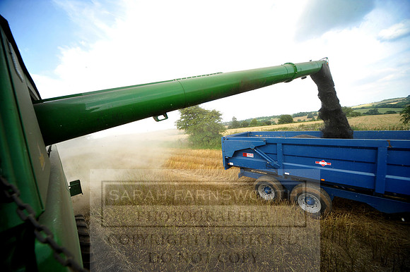 combining r-oil 028