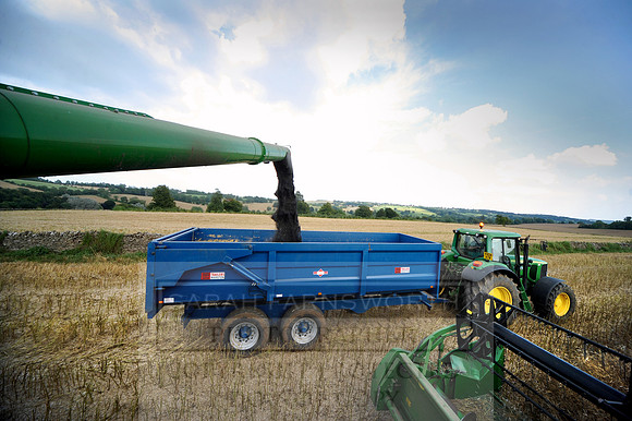combining r-oil 024