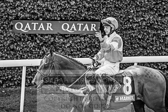 GUK Goodwood Sale 2019-110