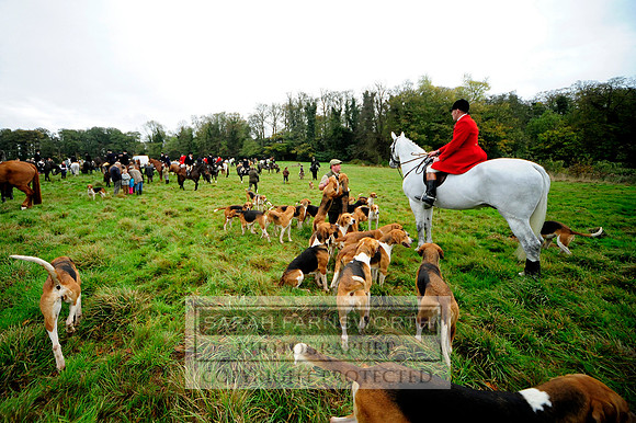 Brocklesby 021113 CF1 063