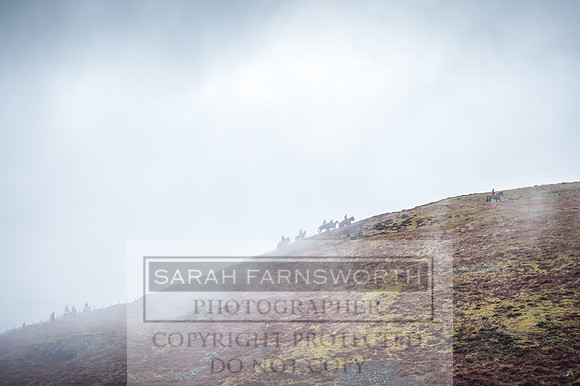 CVNNH 040317-79