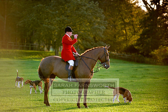Brocklesby 021113 CF3 1443