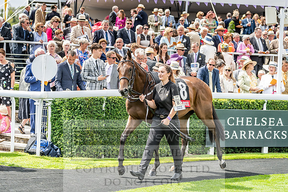 GUK Goodwood Sale 2019-82