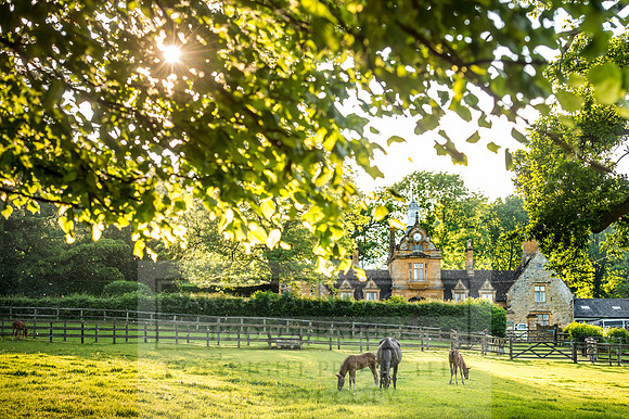 Cotswolds June 2017-1