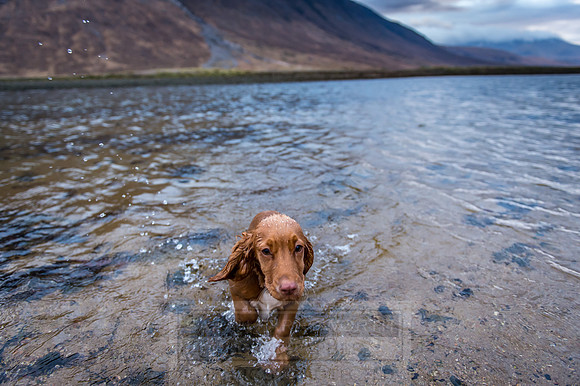 Glen Coe & Glen Etive Winter-18