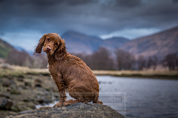 Glen Coe & Glen Etive Winter-21