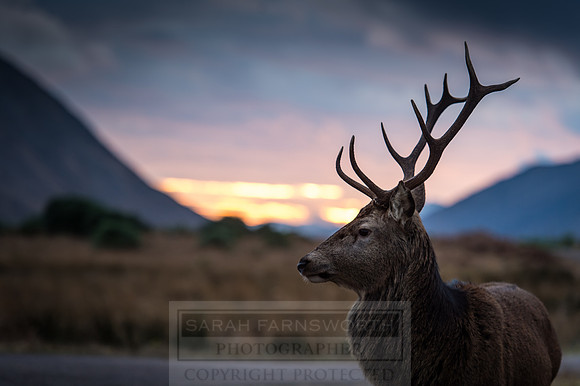 Glen Coe & Glen Etive Winter-23