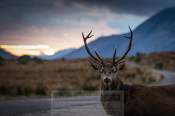 Glen Coe & Glen Etive Winter-24