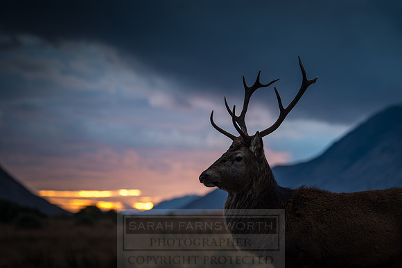 Glen Coe & Glen Etive Winter-26