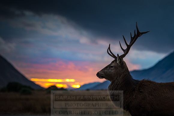 Glen Coe & Glen Etive Winter-27