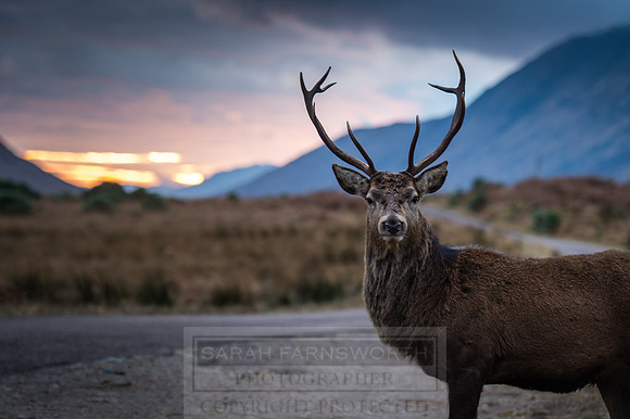 Glen Coe & Glen Etive Winter-28