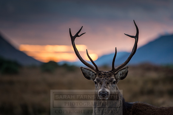 Glen Coe & Glen Etive Winter-29