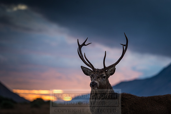 Glen Coe & Glen Etive Winter-31