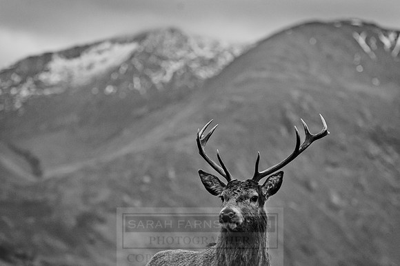 Glen Coe & Glen Etive Winter-32