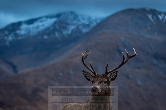 Glen Coe & Glen Etive Winter-33