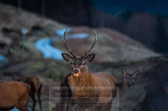 Glen Coe & Glen Etive Winter-36