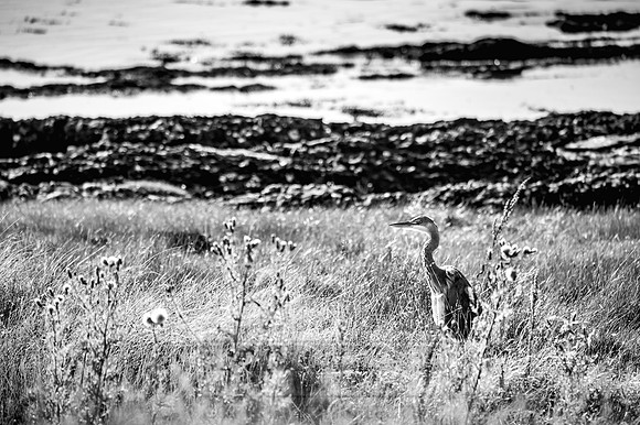Highlands Summer 2016-59
