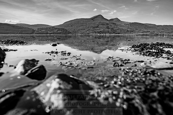 Highlands Summer 2016-64