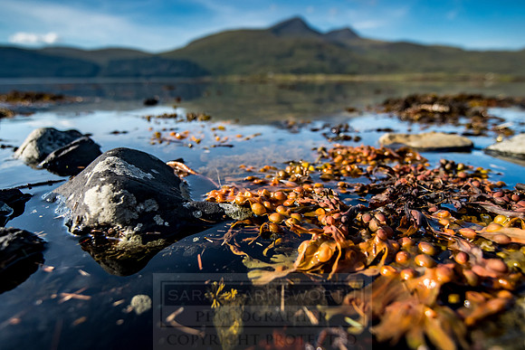 Highlands Summer 2016-66
