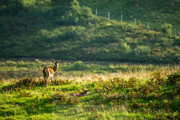 Highlands Summer 2016-113