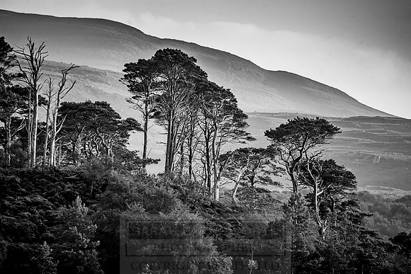 Highlands Summer 2016-163