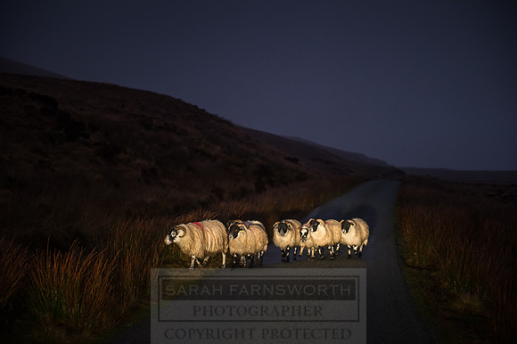 Isle of Skye Winter-1