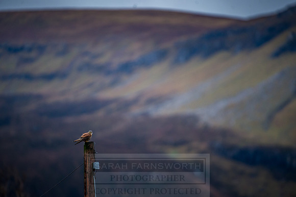 Isle of Skye Winter-12