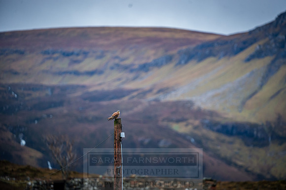 Isle of Skye Winter-13