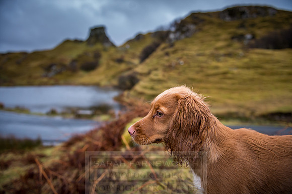 Isle of Skye Winter-24