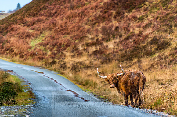 Isle of Skye Winter-68
