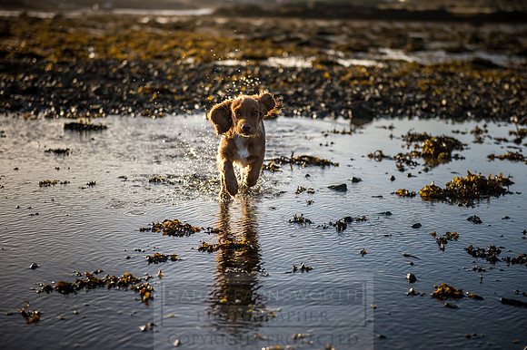 Isle of Skye Winter-89