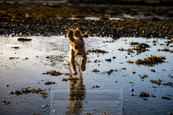 Isle of Skye Winter-90