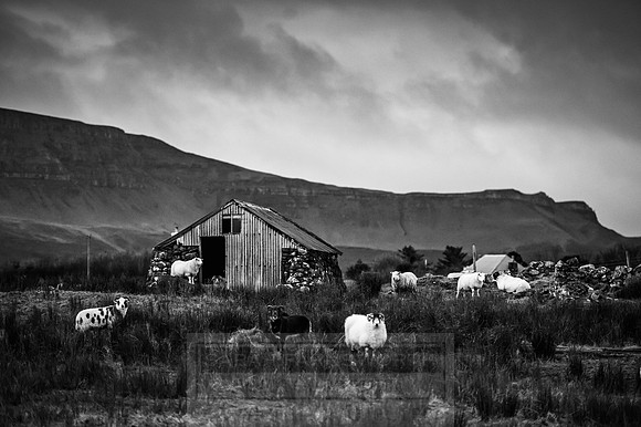 Isle of Skye Winter-91